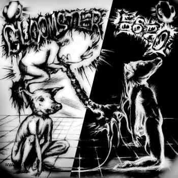 : E620 / GLOOMSTER - Split EP
